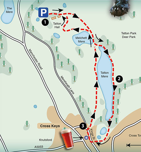 sample map of a walk