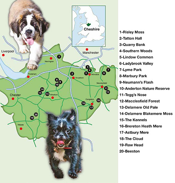 overall map of cheshire walks