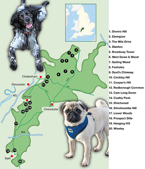 overall map of cheshire walks