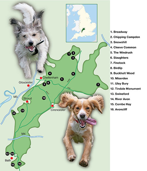 overall map of cheshire Pub walks
