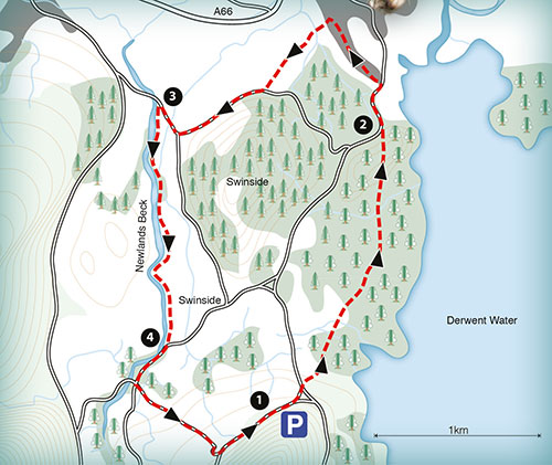 sample map of a walk around Mary Newlands Beck