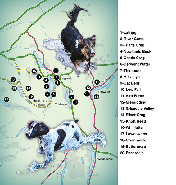 overall map of Countryside Dog Walks Walks in the Lake District North