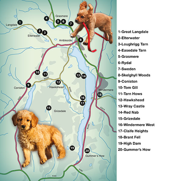 overall map of Countryside Dog Walks Walks in the Lake District South