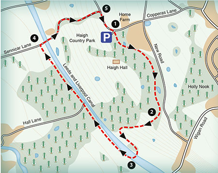 sample map of a walk around Haigh Hall
