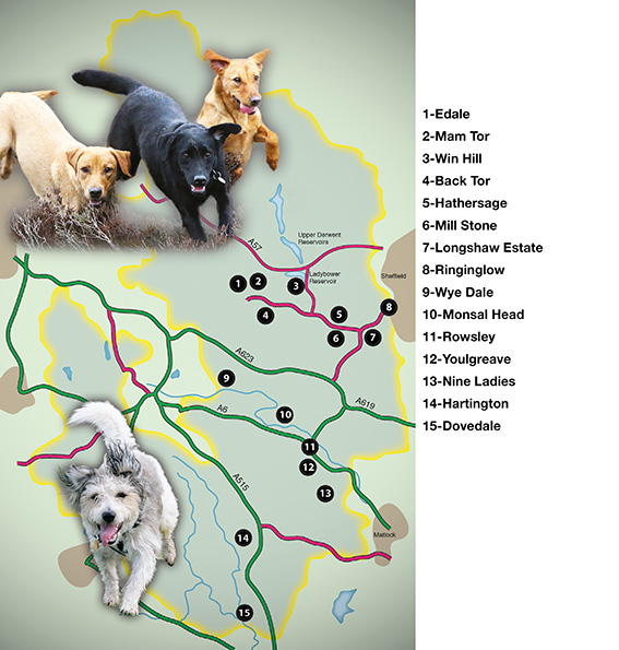 overall map of Countryside Dog Walks in the Peak District North