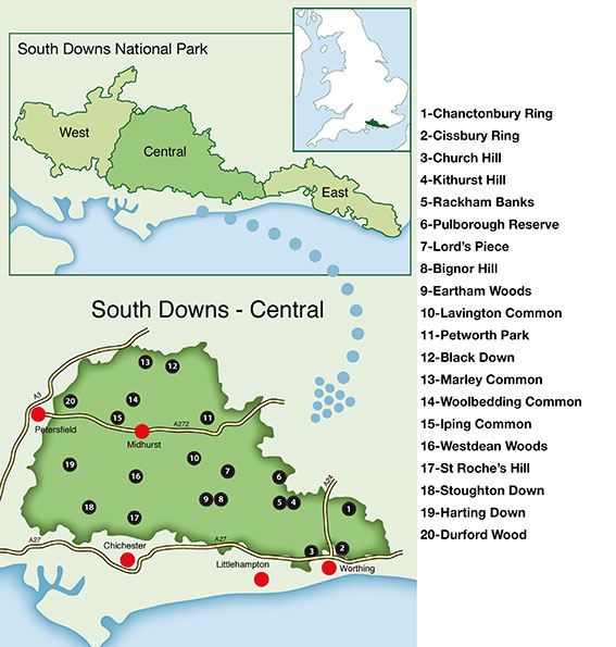 overall map of Countryside Dog Walks in the South Downs West