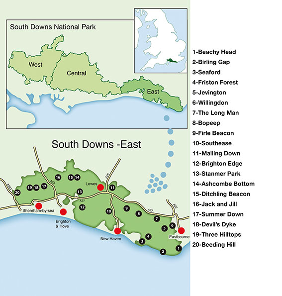 overall map of Countryside Dog Walks in the South Downs East